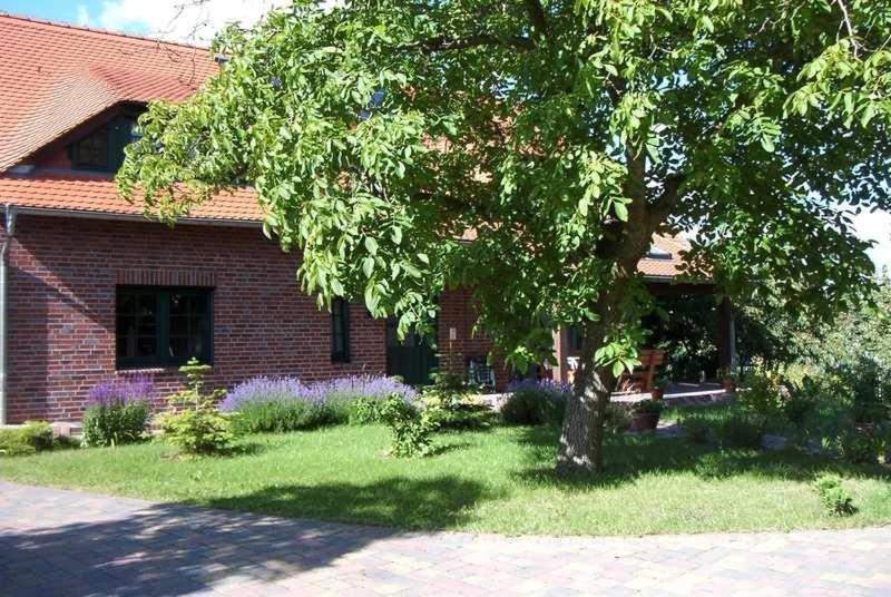 Kraeuter_Landhaus Bad Schmiedeberg Zewnętrze zdjęcie